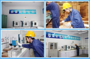 海螺耐火材料公司 服務水泥主業(yè)，打造行業(yè)精品耐火材料